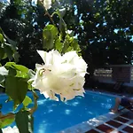 Cabana Los Jardines